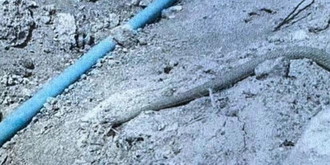 Yakaladığı engereklerin videosunu paylaşan çobana 5 bin 500 lira ceza