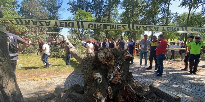 Kırkpınar Yağlı Güreşleri'nde korku dolu anlar: 2 yaralı
