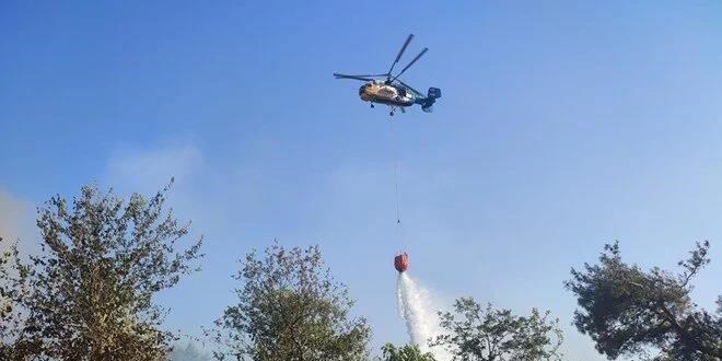 Adana'da orman yangını