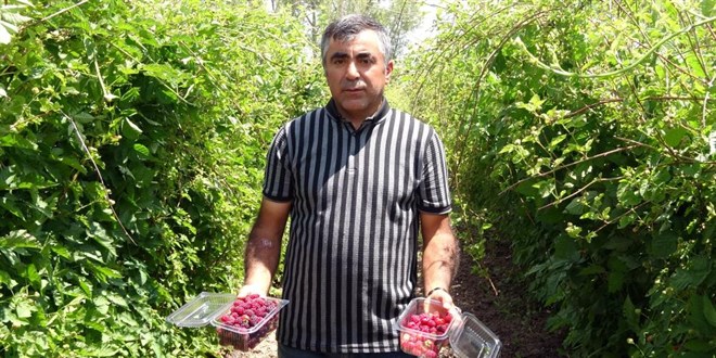 Hobi olarak üretmeye başlamıştı şimdi taleplere yetişemiyor