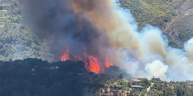 Hatay'da ormanlık alanda yangın: Alevlerin yaklaştığı evler tahliye edildi