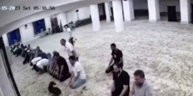 Sabah namazı vaktinde camiye giren köpek ile cemaatin imtihanı