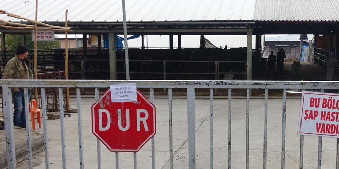 Karabük'te bir ilçe ile 29 köy ve 6 mahallede şap karantinası başlatıldı