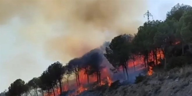 İzmir'de orman yangını kontrol altına alındı