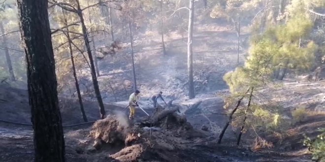 Kahramanmaraş'ta çıkan orman yangını kontrol altına alındı