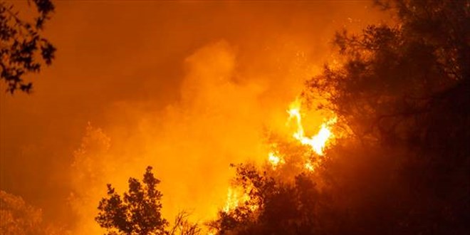 Etna Yanardağı'nda yangın çıktı
