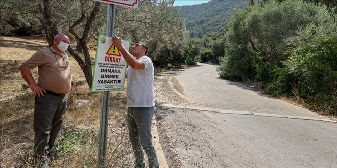 Zonguldak'ta ormanlk alanlara giriler yasakland