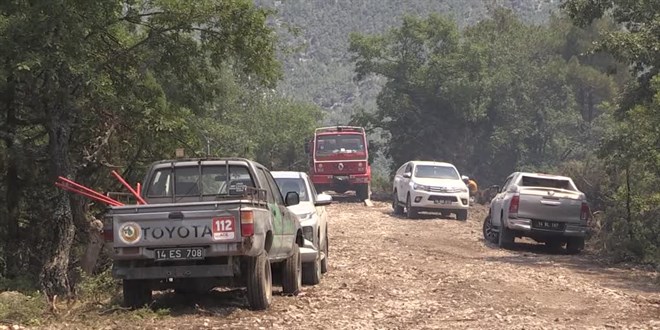 Bolu'da yıldırım düşmesi sonucu çıkan orman yangınına müdahale sürüyor
