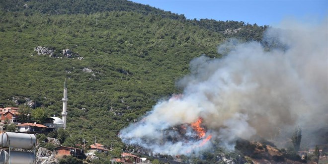 İzmir'de iki ayrı noktada orman yangını