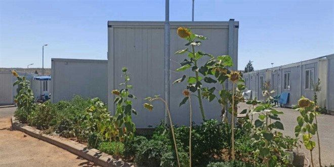Deprem bölgesinde konteyner bostanı