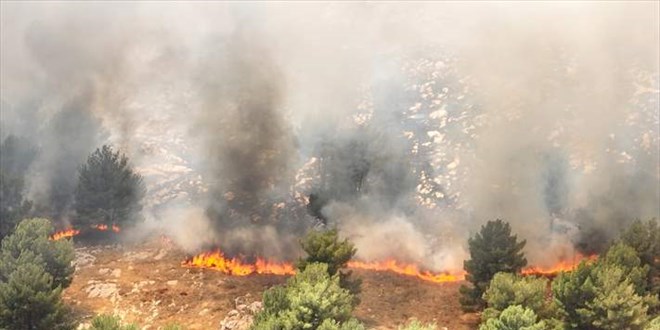 Adıyaman'da ormanlık alanda çıkan yangına müdahale ediliyor