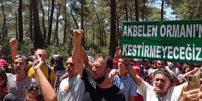 Akbelen'de ormanlar tahrip ediliyor mu? Şirketten açıklama geldi