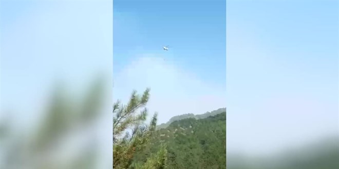 Bilecik'te çıkan orman yangını kontrol altına alındı