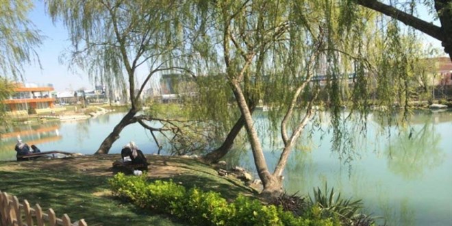 Bakırköy Botanik Parkında hayvanları öldüren ilgisizlik
