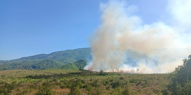 Burdur'da çıkan orman yangını kontrol altına alındı