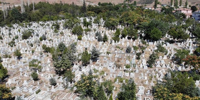 Dünyada 3 tane, biri de o ilimizde
