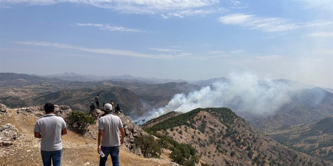 3 ildeki orman yangınları sürüyor