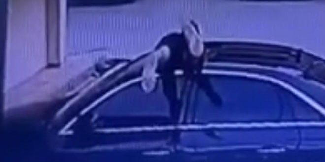 Örümcek adam gibi oto faresi! Sunroof'tan girip çaldı