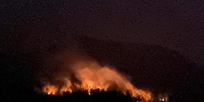 Adana'da kan orman yangnna mdahale ediliyor