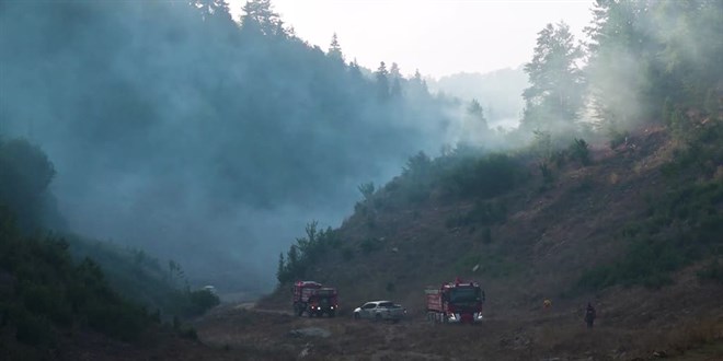 Kahramanmaraş'ta çıkan orman yangını kontrol altına alındı