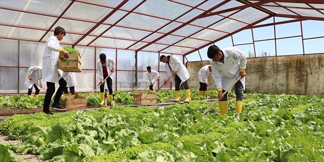 İki bakanlıktan ortak çalışma: Okul bahçelerinde tarım ve hayvancılık