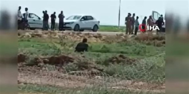 Şanlıurfa'da hastaneden kaçıp ortalığı birbirine katan, kuduz hastası hayatını kaybetti