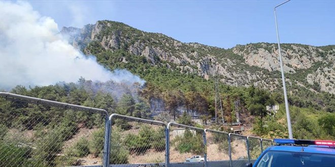 Bilecik'te çıkan orman yangını kısmen kontrol altına alındı