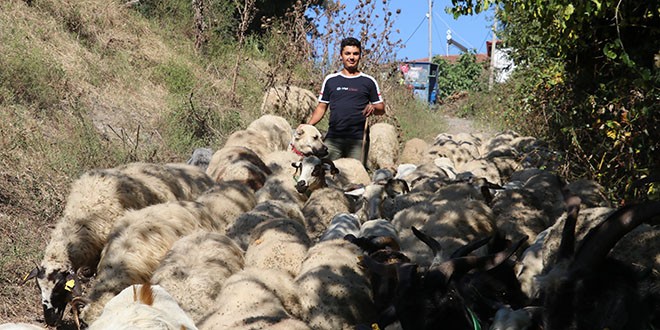 Ky hayatn tercih eden niversite mezunu gencin hayali iftlik kurmak