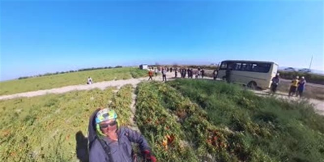 İşçilerin selamladığı yamaç paraşütü pilotu domates tarlasına indi