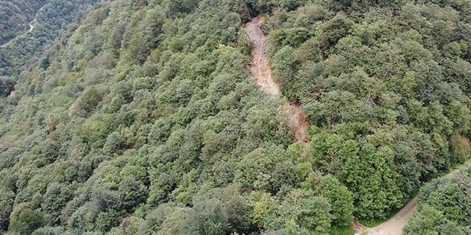 Define için ormana iş makinesiyle yol açtılar