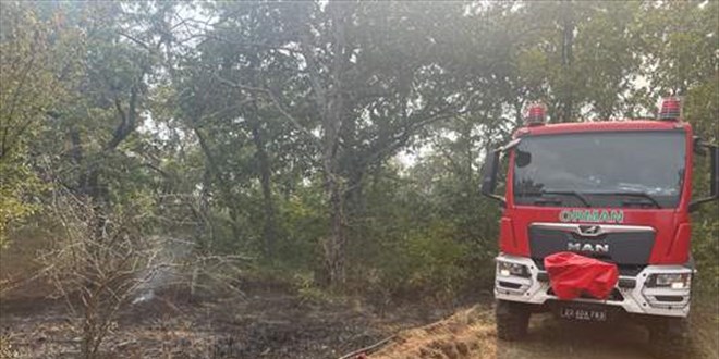 Edirne'de sınır hattında ormanlık alanda yangın çıktı