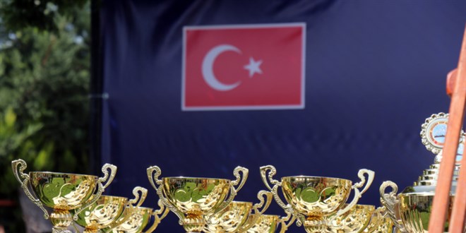 Türkiye'nin 'en hızlı' posta güvercini 505 kilometreyi 9 saatte uçtu