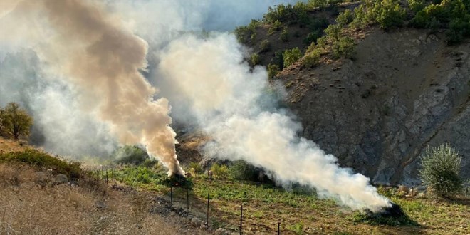 1040 personelle uyuşturucu operasyonu: 1 ton 530 kilogram esrar ele geçirildi