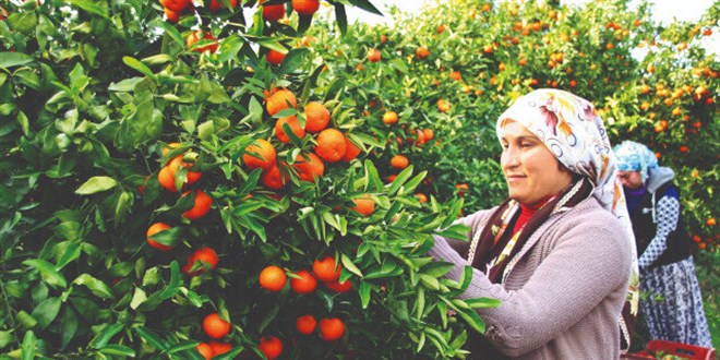 Tarımda hedef yükselttik