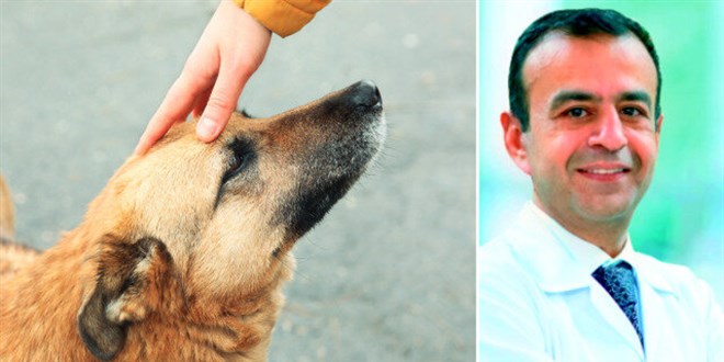 Hijyene dikkat: Kedi köpek kisti öldürebilir