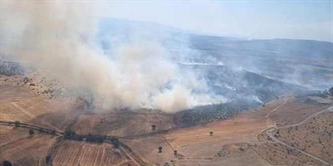 Kahramanmaraş'ta ormanlık alanda çıkan yangın söndürüldü