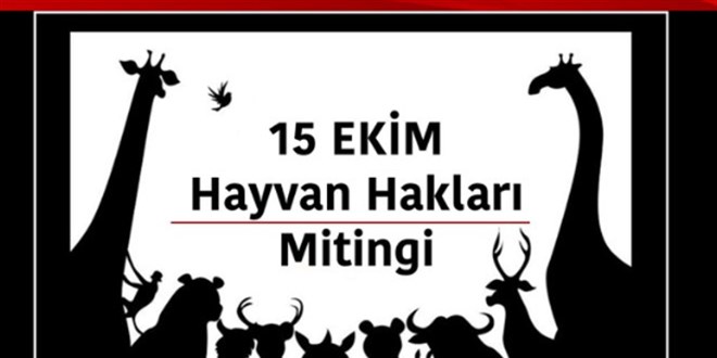 İstanbul Barosu, Gazze'de soykırım yaşanırken hayvan hakları mitingi yapacak
