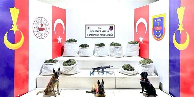 Diyarbakr'da 364 kilo 500 gram esrar, 150 bin kk skunk ele geirildi