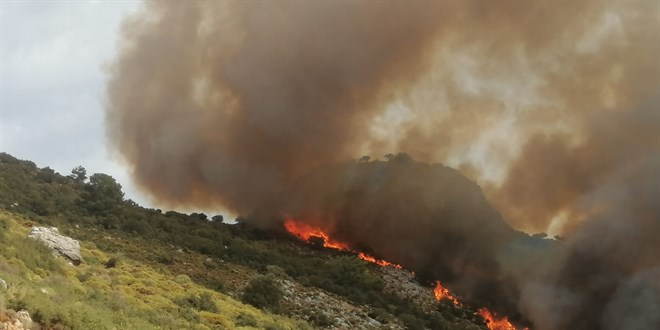 Muğla'da makilik ve tarımsal alanda yangın çıktı