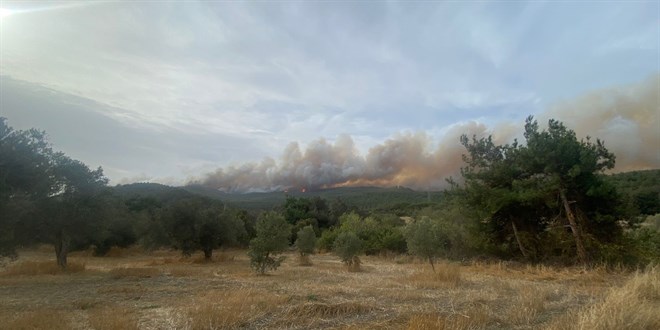 Çanakkale'de orman yangını