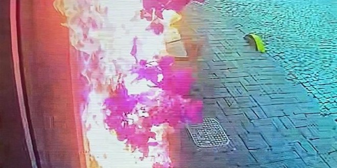 Suni çiçek koparırken otelde yangın çıkardı