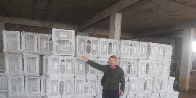 Tarım Kredi zeytin üreticisini yüzüstü bıraktı