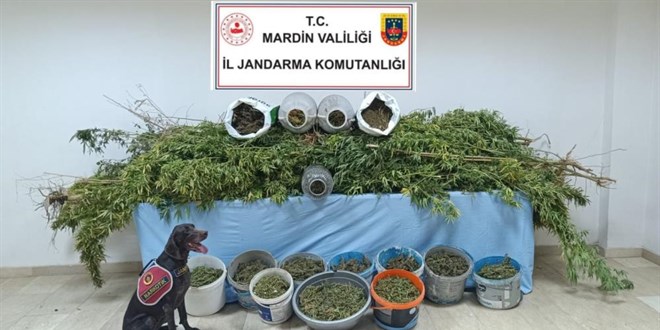 Mardin'de 'Narko G' operasyonunda 7 tutuklama