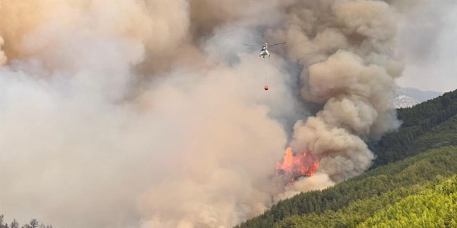 Trkiye'nin ormanlarn 'dikkatsizlik' yakt