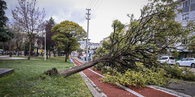 Ankara'da şiddetli rüzgar hayatı olumsuz etkiledi
