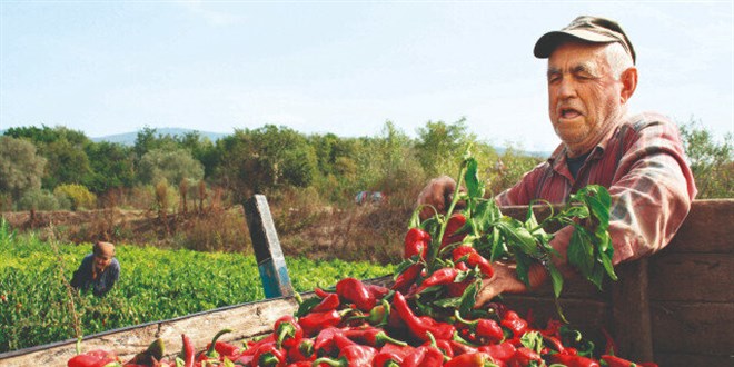 162 bin çiftçinin kimlik bilgisi çalındı