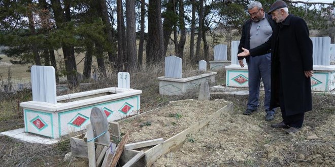Kış uykusuna yatamayan ayılar, mezarları kazmaya başladı