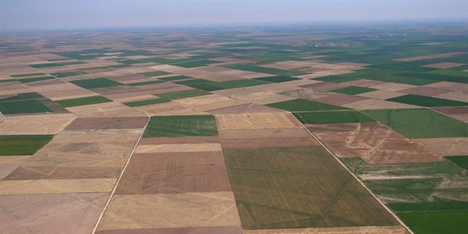 Türkiye, 19 tarım ürününün üretiminde dünyada ilk 4'te yer alıyor