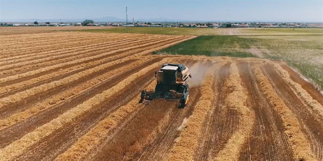Türkiye, 19 tarım ürününün üretiminde dünyada ilk 4'te yer alıyor