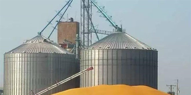 Temizlemek için çıktığı buğday silosuna düşen işçi hayatını kaybetti